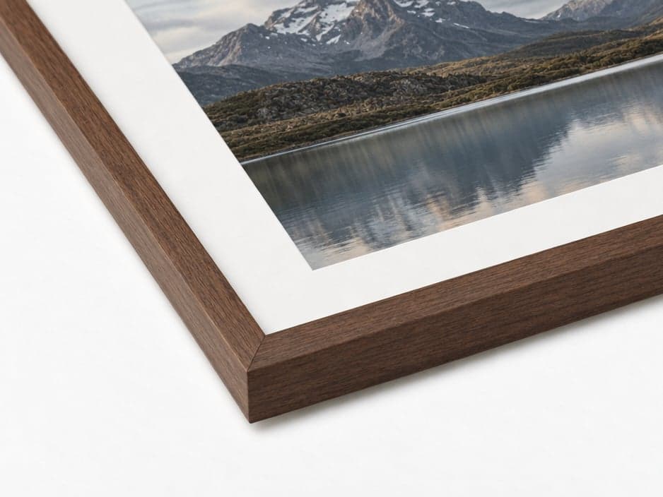 The corner of a print in a walnut frame with a white mat